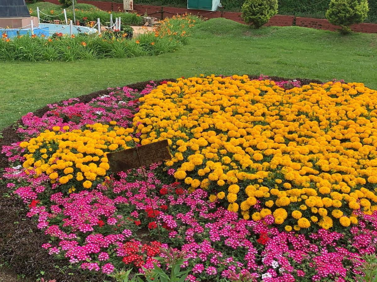 Kodai Pinetree Residency Кодайканал Екстериор снимка